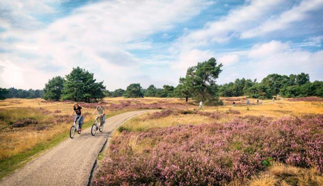 Sfeervol Chalet Op De Veluwe Putten Ngoại thất bức ảnh