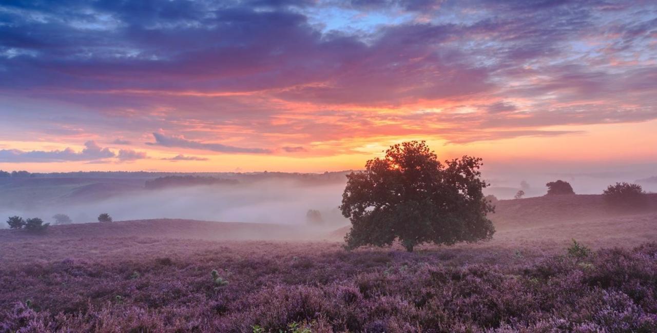 Sfeervol Chalet Op De Veluwe Putten Ngoại thất bức ảnh